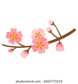 Cherry blossom branch vector illustration isolated on white background