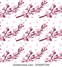 Cherry blossom branch vector seamless pattern. Pink blooming flowers and petals on white background. Gentle spring floral seamless pattern.