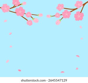 cherry blossom branches with falling petals on blue background