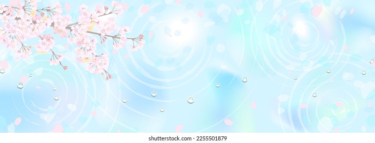 Cherry blossom branches and fantastic water surface Light, water ripples, water droplets
