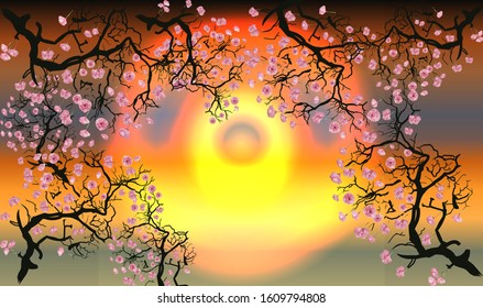 Cherry Blossom. Branches with flowers and the setting sun