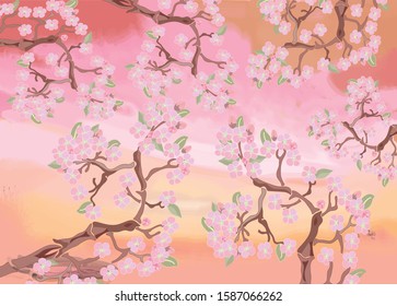 Cherry Blossom. Cherry branches on a background of the sky in gentle colors