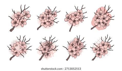 Ramas de flor de cerezo con fondo transparente