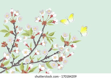 Cherry Blossom branches and two butterflies