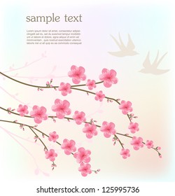 Cherry blossom card