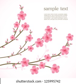 Cherry blossom card