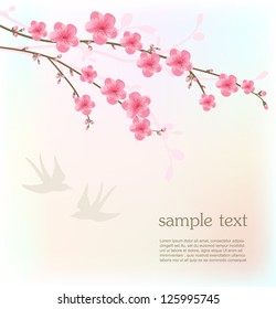 Cherry blossom card