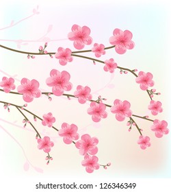 Cherry blossom card