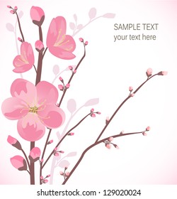 Cherry blossom card