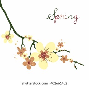 Cherry blossom card design, vector