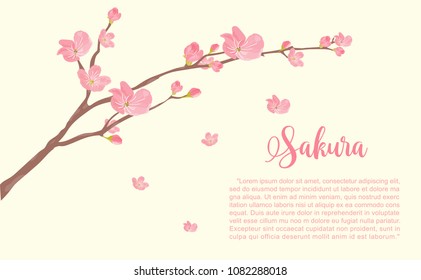 Cherry blossom for card, vector illustration. 