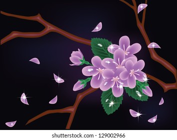 Cherry blossom card, vector illustration