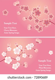 Cherry blossom cards set. Illustration vector.