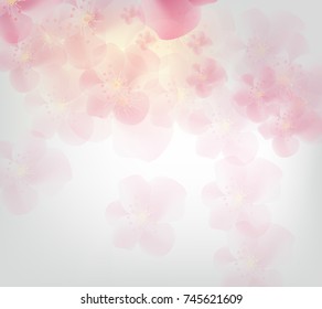 Cherry blossom for Chinese New Year and lunar new year 2018