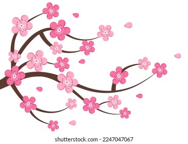 Cherry blossom clipart vector isolated on white background