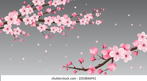  cherry blossom collection , greeting cards , seamless texture , japanese floral pattern