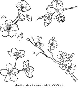 cherry blossom collection style outline, beautiful floral elements for invitation decoration and other creations