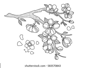 Cherry blossom coloring book vector illustration. Tattoo stencil. Black and white lines. Lace pattern