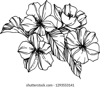Cherry blossom for decoration