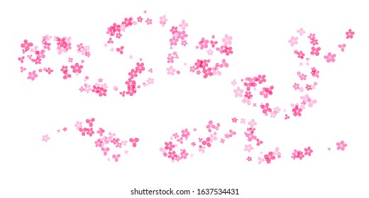 Kirschblütendekorationen. Einfache, blumengeschmückte Designelemente.