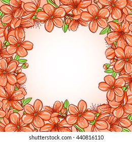 Cherry blossom. Decorative floral frame pattern of spring flowers