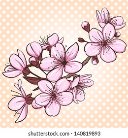 Cherry blossom. Decorative floral illustration of sakura flowers