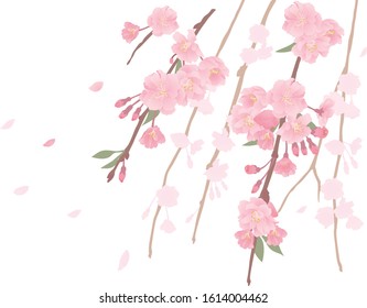Cherry blossom design frame material