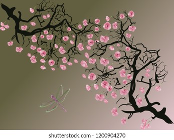 Cherry blossom and dragonfly