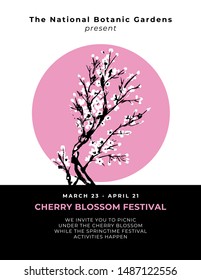 Cherry blossom event template with hand drawn branch with pink cherry flowers blooming.  Sakura blossoming festival banner. Chinese or Japanese traditional drawing. Vector.
