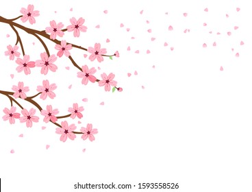 9,353 Sakura Flower Cartoon Images, Stock Photos & Vectors | Shutterstock