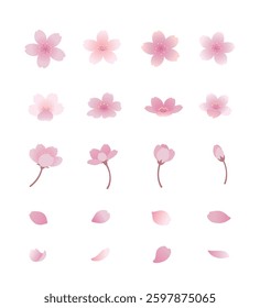 Cherry Blossom Flat Illustration Set Vector