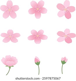 Cherry Blossom Flat Illustration Set Vector