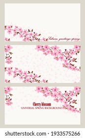 Cherry blossom floral card. Blossoming branches of Japanese cherry and falling petals, universal spring background, postcard, banner. Pink Sakura texture, EPS 10, vector