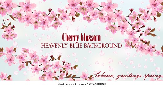 Kirschblüte Blumenmuster. Blühende Zweige der japanischen Kirsche und fallende Blätter auf himmlisch blauem Hintergrund, Postkarte, Banner. Rosa Sakura-Textur, EPS10, Vektorgrafik