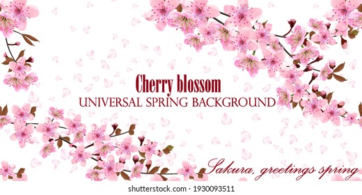 Cherry blossom floral pattern. Blossoming branches of Japanese cherry and falling petals, universal spring background, postcard, banner. Pink Sakura texture, EPS 10, vector