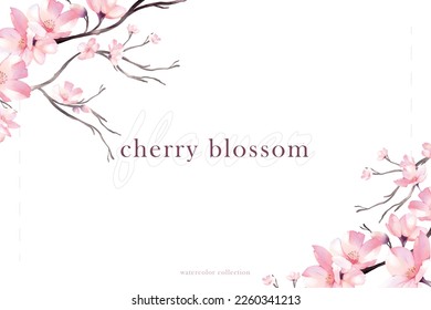 Cherry blossom floral watercolor vector background. Collection cherry blossom flowers, leaves, branches. Design for greetings, card, invitation, flyer, banner.