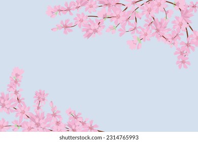 Cherry blossom flower background square social media template banner vector illustration. Cute Pink Floral background for spring summer with copy space.