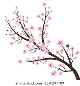 Cherry blossom flower blooming vector. Cherry blossom branch with pink flower blooming. Pink sakura flower background. Cherry blossom branch with sakura flower. Watercolor cherry bud.