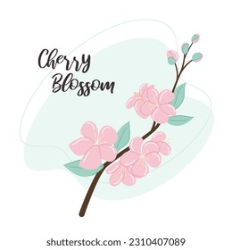 Cherry Blossom Flower. Botanical vector illustration. Floral decor for postcard or other print