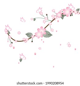 Kirschblütenblüte, dekorativer Hintergrund