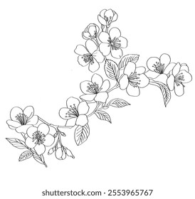 Cherry Blossom flower drawing set Artistic elements for use in design