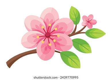 Kirschblüte flache Vektor-Illustration auf weißem Hintergrund