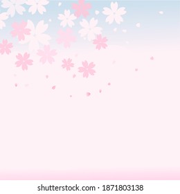 Cherry blossom flower and flying petals on pink blur background vector illustration. Sakura Japanese flower.