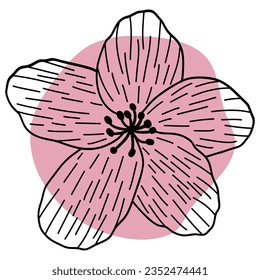 Cherry Blossom flower line with shape. Vector illustration with flower theme. Suitable for wedding invitation, aesthetic decoration, social media post, banner, promotion, advertising, etc.