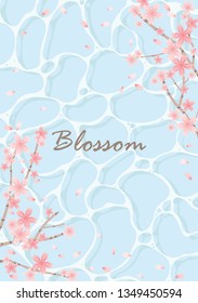 Cherry blossom flower on texture of water surface background vector for decoration on spring season festival.