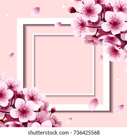 Cherry blossom flower on white frame and pink background, vector illustration