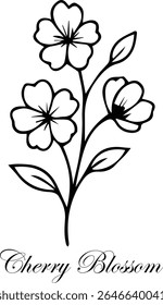 Cherry Blossom flor esboço design isolado no fundo branco eps