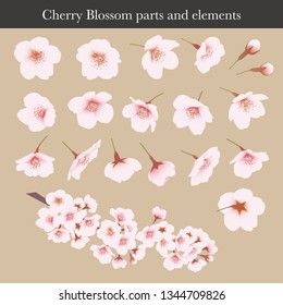 Cherry blossom, Cherry flower, parts and graphic elements, illustration