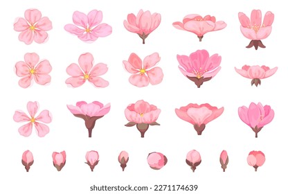 Cherry blossom flower sakura bud floral flat set. Element spring season japanese chinese plant wedding love summer decoration sticker tropical fashion blooming garden many shape petal bouton isolated