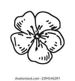 Cherry blossom flower sketch. Spring time botanical clipart. Hand drawn vector illustration isolated on white background.